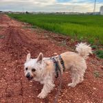 Leona_IMG-20260402-WA0063