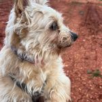 Leona_IMG-20260402-WA0078