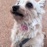 Leona_IMG-20260402-WA0083