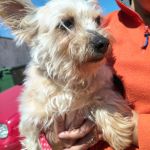 Leona_IMG-20260402-WA0132