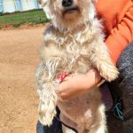 Leona_IMG-20260402-WA0137