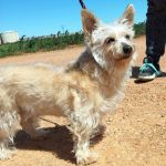 Leona_IMG-20260402-WA0142