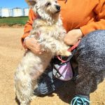 Leona_IMG-20260402-WA0148