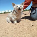 Leona_IMG-20260402-WA0149