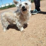 Leona_IMG-20260402-WA0151