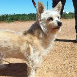 Leona_IMG-20260402-WA0158