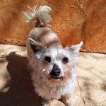 Leona_IMG_20260406_132910