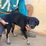 Lilo_IMG_0260