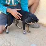 Lilo_IMG_0268