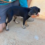 Lilo_IMG_0270