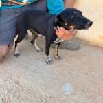 Lilo_IMG_0273