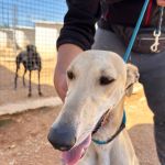 Linda_IMG_1365