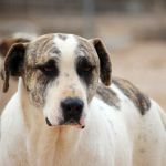 Locke_img_4427_40927819063_800
