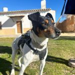 Lola_2026-02-23 at 20-05-23