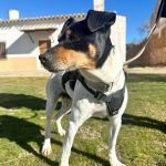 Lola_Image 2026-02-23 at 20-05-24