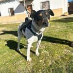 Lola_Image 2026-02-25 at 20-05-24