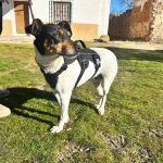 Lola_Image 2026-02-26 at 20-05-24