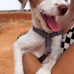 Lore_IMG_20260719_123052