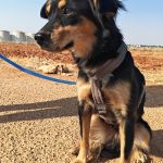 Lupe_IMG_20260811_180944