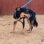 Lupe_IMG_20260811_181040