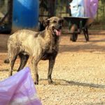 Lutz_IMG_6315