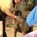 Lutz_IMG_6320