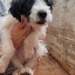 Macu_IMG_20260628_135156