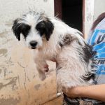 Macu_IMG_20260628_135208