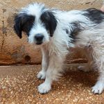 Macu_IMG_20260628_135225