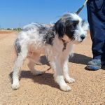 Macu_IMG_20260802_1214502