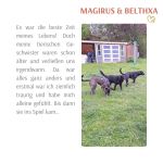 Magirus und Belthxa05