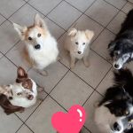 maja_ 2026-04-01 at 07-59-49