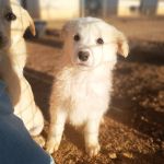 Maja_IMG_20260219_084822