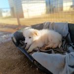 Maja_IMG_20260219_084853