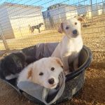 Maja_IMG_20260219_084954