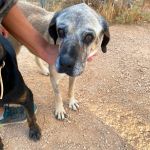 Mar_2026-08-14 at 11-39-28