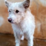 Mara_2025-11-21 at 08-53-28