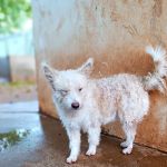 Mara_2025-11-21 at 08-53-33