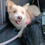 Mara_IMG-20251027-WA0020