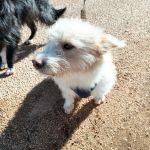 Mara_img-20251108-wa0075