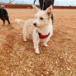 Mara_IMG_20251115_122946