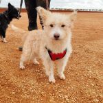 Mara_IMG_20251115_122953_edit_28407326694734