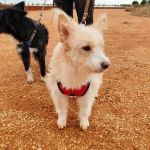 Mara_IMG_20251115_123004_edit_28441669459877