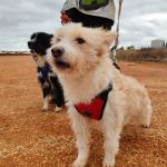 Mara_IMG_20251115_123019_1