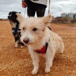 Mara_IMG_20251115_123020