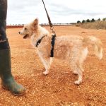 Mara_IMG_20251115_123048_edit_28605171052784