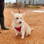 Mara_IMG_20251115_123117_edit_28819899130150