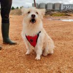 Mara_IMG_20251115_123120_1_edit_28848349573108