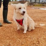 Mara_IMG_20251115_123120_edit_28835782465144