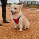 Mara_IMG_20251115_123122_edit_28872890809088